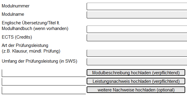 Abbildung 3: Pflichtfelder (grau)