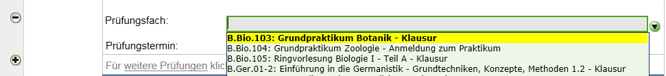form5.png